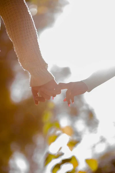 Atractiva Pareja Está Parque Tomados Mano Disfrutando Puesta Sol — Foto de Stock