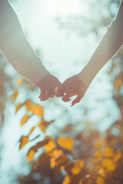 漂亮的情侣在户外 手牵手靠近美丽的自然和树木 — 图库照片