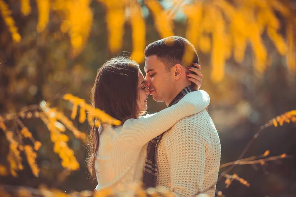 Amorous Couple Looking Satisfied Spending Time Together Woods Hugging Kissing — 图库照片