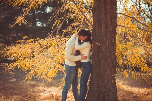 Beautiful Couple Park Standing Next Tree Yellow Leaves Kissing Hugging — Stok fotoğraf