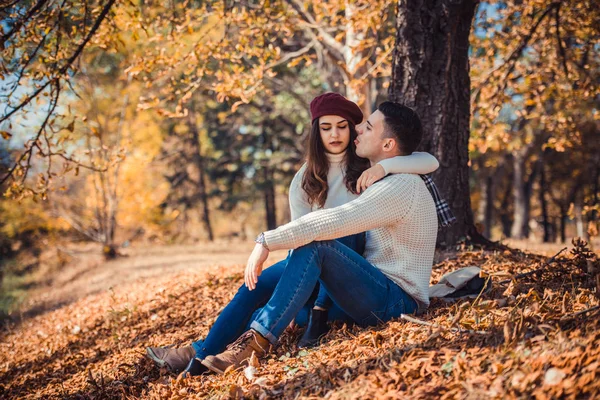 Jovem Casal Elegante Está Parque Sorrindo Divertindo Juntos Enquanto Sentado — Fotografia de Stock