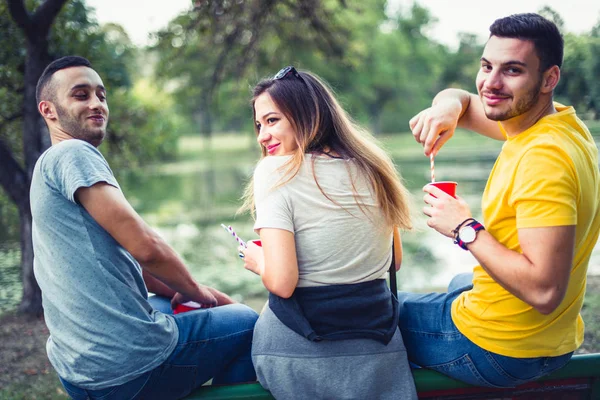 Des Amis Sont Assis Dans Parc Souriant Regardant Intéressés Derrière — Photo