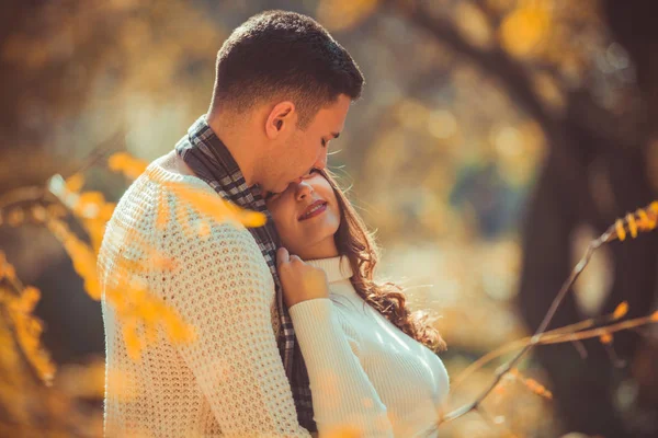 Hermosa Pareja Está Disfrutando Del Hermoso Clima Bosque Tratando Besar —  Fotos de Stock