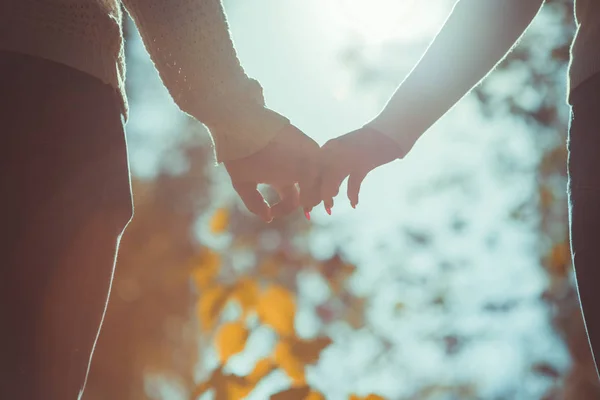 Dayly 日光の下で手を繋いでいる秋の公園で歩く若いカップル — ストック写真