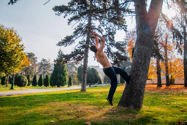 Shirtloser Traceur Übt Parkour Übung Beim Klettern Auf Einen Baum — Stockfoto