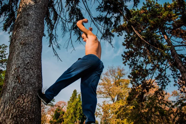 Αθλητικός Τύπος Προσπαθεί Τρέξει Στο Δέντρο Στο Πάρκο — Φωτογραφία Αρχείου