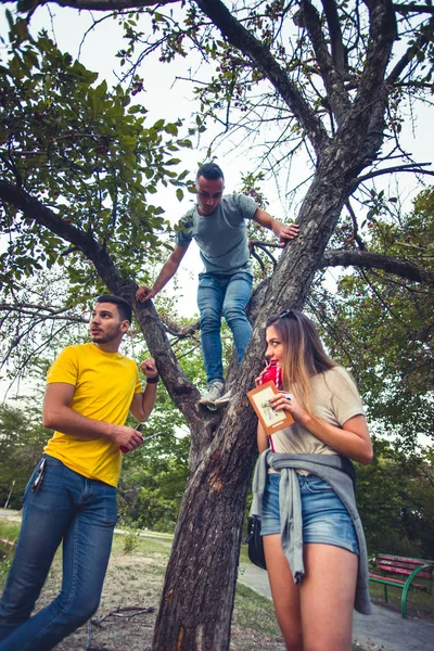 Groupe Jeunes Sont Dans Parc Tandis Que Eux Grimpe Arbre — Photo