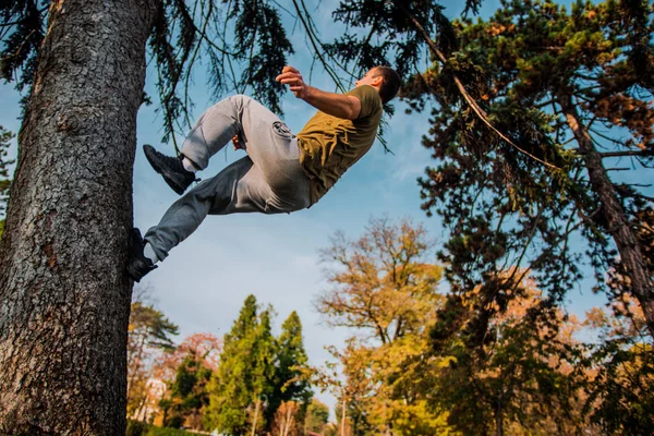 健身的家伙做公园锻炼 而跑通过树 — 图库照片
