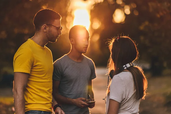 Drei Freunde Sind Park Bei Schönem Sonnenuntergang Und Sie Albern — Stockfoto