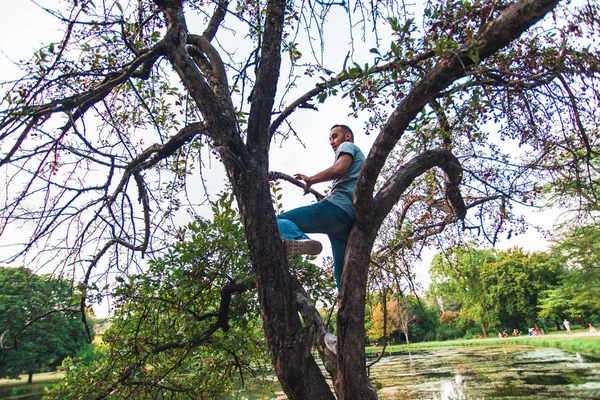 勇気ある男が公園の木に登り — ストック写真