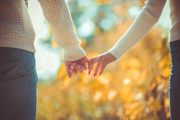 Pareja Joven Enamorada Caminando Parque Otoño Cogida Mano Mirando Atardecer —  Fotos de Stock