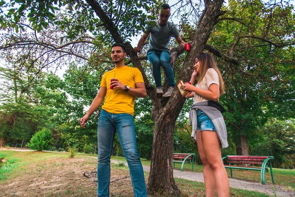 Beyaz Insanlar Parkta Ağaç Üzerinde Duran Arkadaşı Ile Eğlenmeyi — Stok fotoğraf