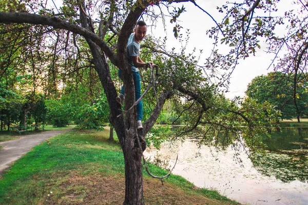 Nehrin Kenarındaki Parkta Ağaca Tırmanan Cesur Adam — Stok fotoğraf