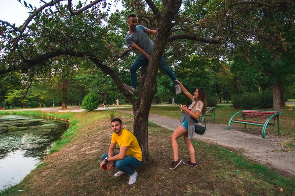 Freunde Genießen Den Park Und Die Natur Sie Herum Und — Stockfoto