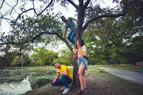 Young people watching their friend climbing a tree — Stock Photo, Image