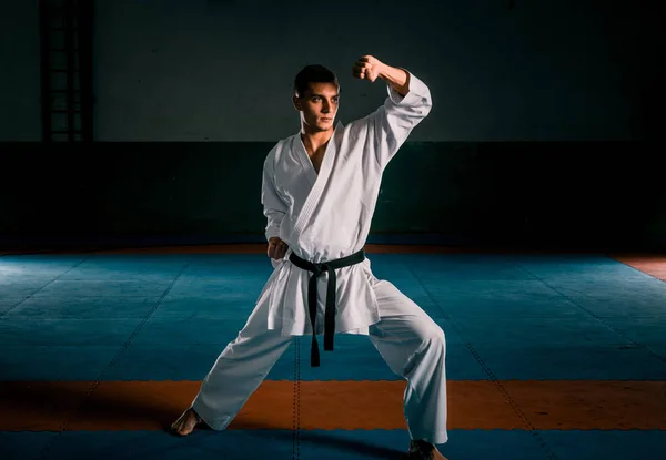 Mestre de artes marciais em treinamento de luta no ginásio — Fotografia de Stock