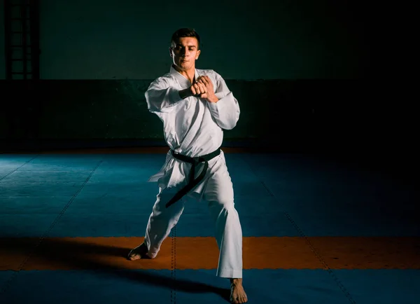 Une image d'un maître des arts martiaux taekwondo — Photo