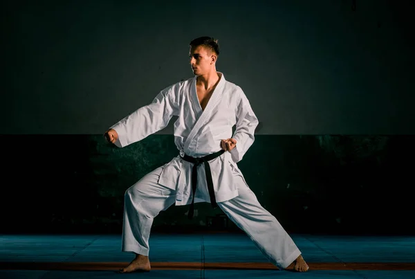 Professionele Karate vechter schoppen. Geïsoleerd op een witte blauw — Stockfoto