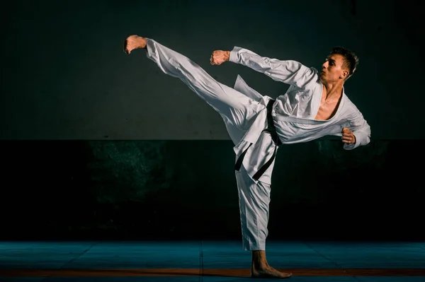 A taekwondo harcművészet mester képe — Stock Fotó