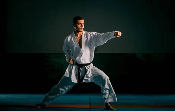 Den en Judokas fighter poserar i gymmet — Stockfoto