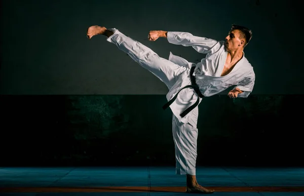 Retrato de un maestro de artes marciales sobre el fondo negro — Foto de Stock