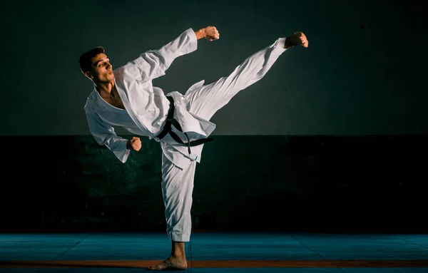 Mestre de artes marciais em treinamento de luta no ginásio — Fotografia de Stock