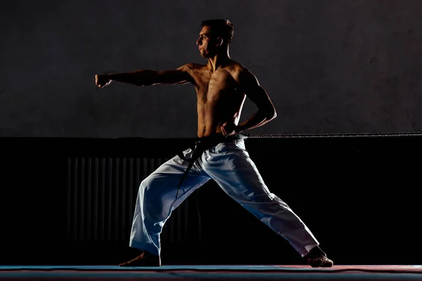 An image of a taekwondo martial arts master — Stock Photo, Image