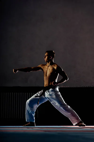 Maestro de artes marciales en entrenamiento de lucha en gimnasio — Foto de Stock