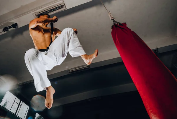Luchador Muscular Guardia Combate Junto Saco Boxeo Aislado Sobre Fondo — Foto de Stock