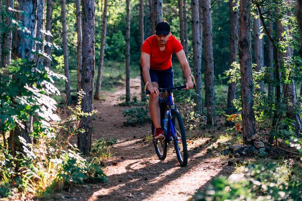 Fit cyclist riding his bike downhill through a forest ( woods ) — Stock Photo, Image