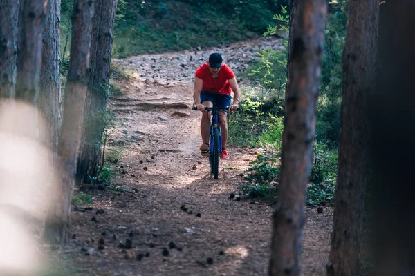 자전거를 타고 숲 속을 내려가다 ( 숲 속을 달려 내려가다 ) ) — 스톡 사진