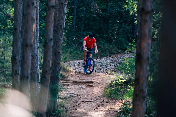 Fit cyclist riding his bike downhill through a forest ( woods ) — Stock Photo, Image
