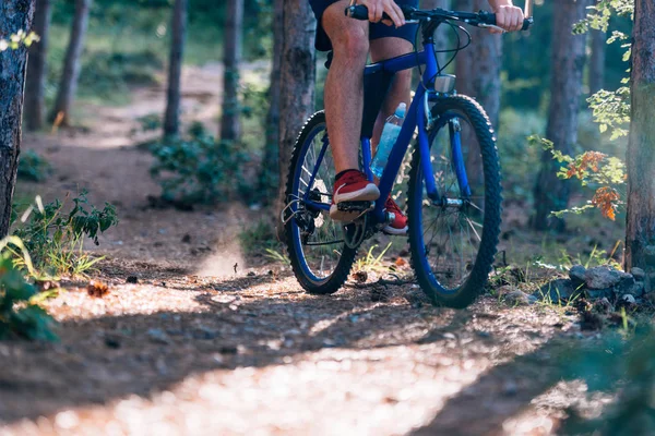 Fit cyklista jízda na kole z kopce lesem (lesy ) — Stock fotografie