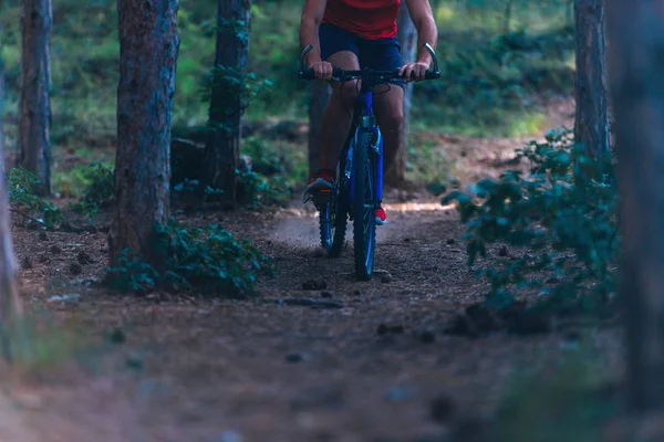 Muž na horském kole jezdí na stezce lesem, zatímco — Stock fotografie