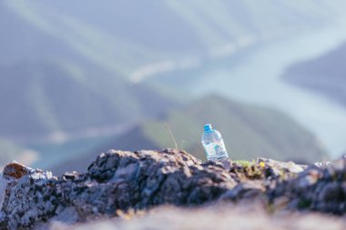 A plastic bottle left in untouched nature. clipart