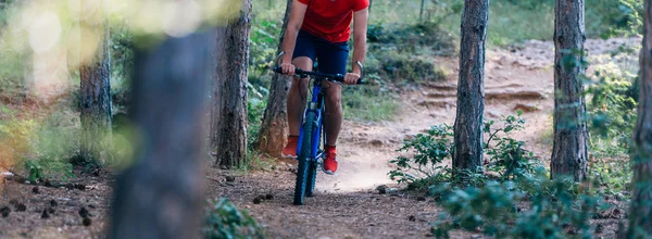 Fit cyklista jízda na kole z kopce lesem (lesy ) — Stock fotografie