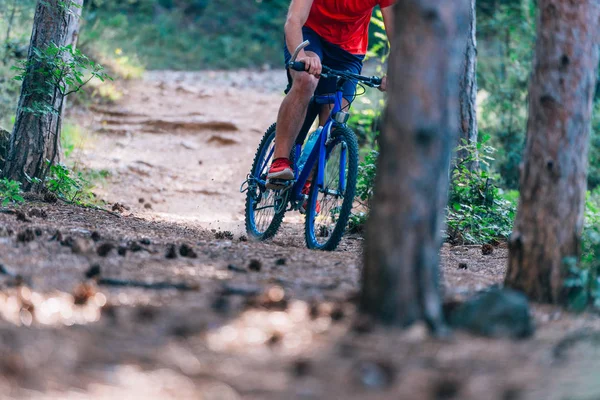 Fit ciclista in sella alla sua bicicletta in discesa attraverso un bosco (boschi  ) — Foto Stock