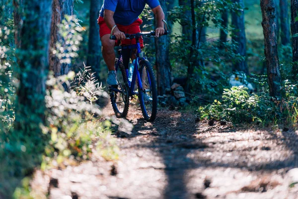 뚱뚱 한 노인 이 산악자전거를 타고 숲 속 USi — 스톡 사진