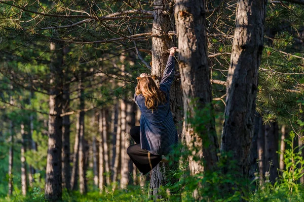 Meisje klimmend met vrouw op een boom in een zomer groen park — Stockfoto
