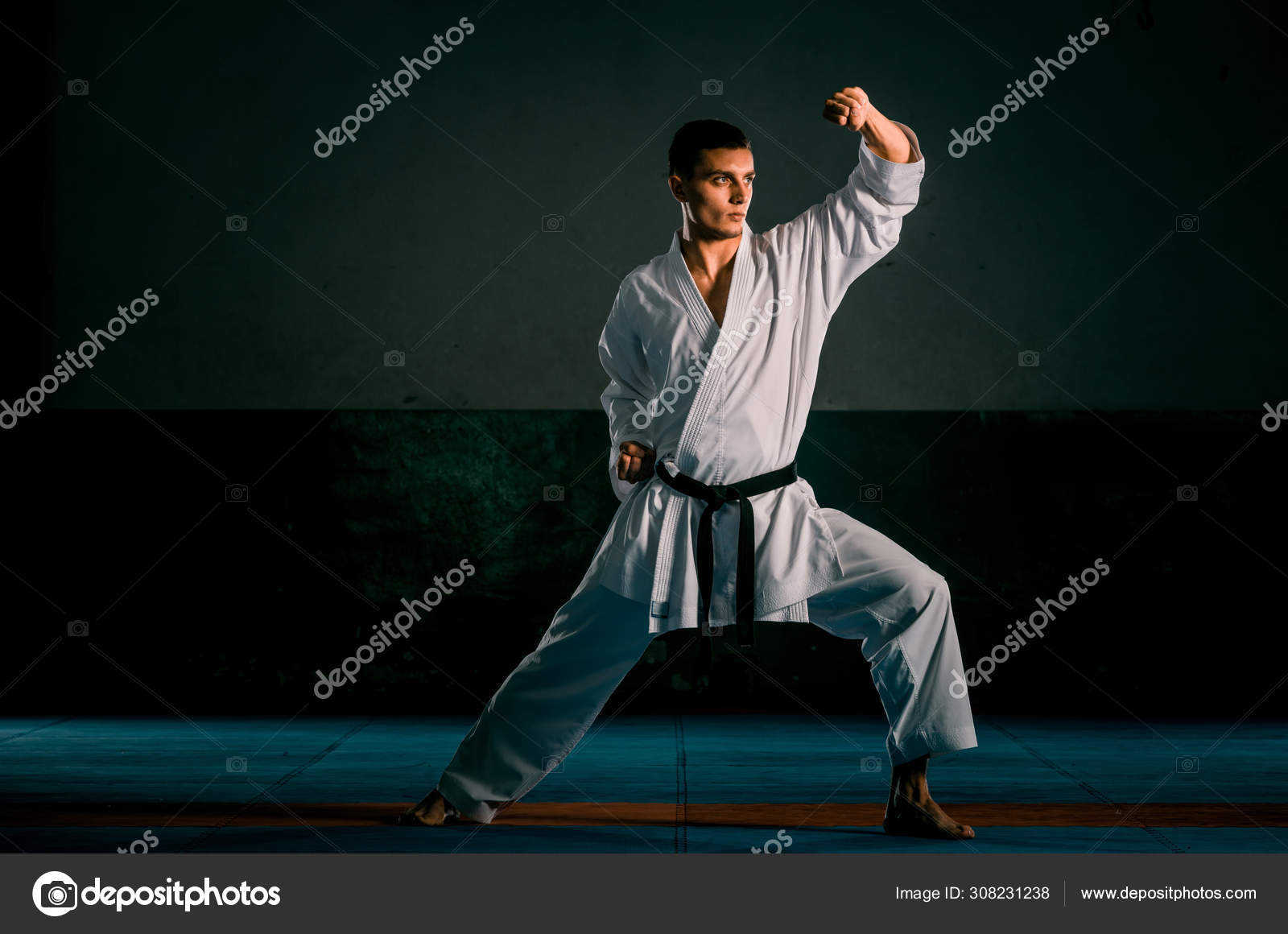 Karate Kata White Belt