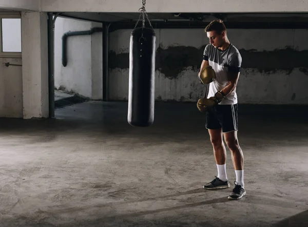 Sportlicher Typ Legt Goldene Boxhandschuhe Während Sich Auf Training Vorbereitet — Stockfoto