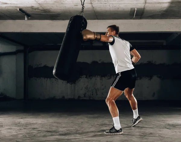 Muscular fighter practicing some punches with punching bag in boxing gloves. The concept of a healthy lifestyle