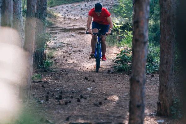 자전거를 타고 숲 속을 내려가다 ( 숲 속을 달려 내려가다 ) ) — 스톡 사진