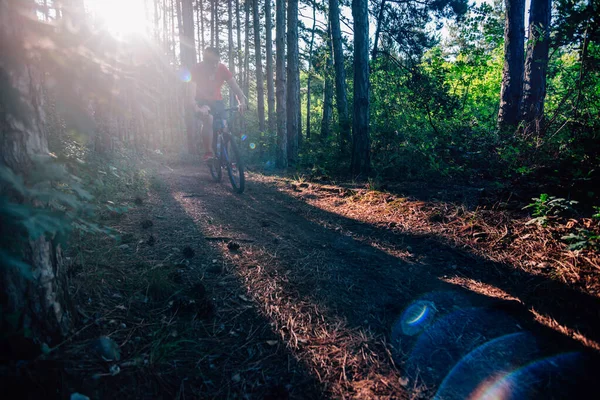 Motorkář na kole na prašné stezce lesem, Xtreme — Stock fotografie