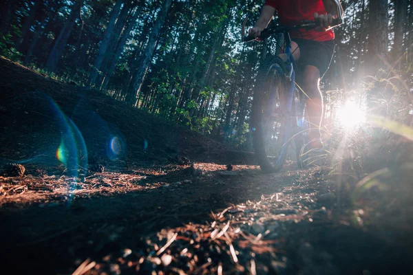 Biker riding his bike on a dirt trail through the woods, Xtreme — Stock Photo, Image