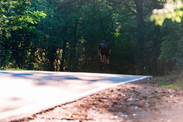 太阳落山时骑自行车穿过树林的骑手 — 图库照片