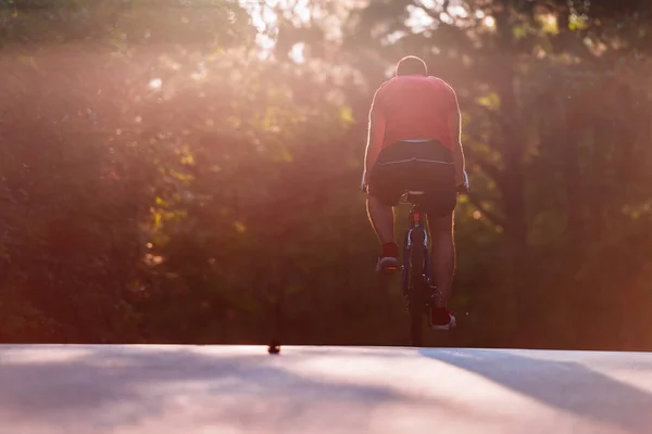 Maschio ciclista in sella alla sua moto al tramonto su una strada attraverso profondo wo — Foto Stock