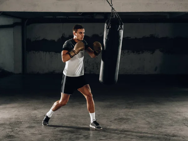 Guapo Boxeador Guantes Boxeo Entrenando Con Saco Boxeo Sobre Fondo — Foto de Stock