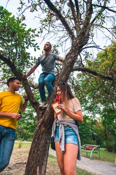 Gençler Parkta Ağaçta Dikilen Arkadaşıyla Oynaşıyor — Stok fotoğraf