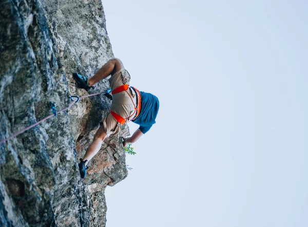Rockclimber Dreadlocks Climbing Mountain — Stock Photo, Image